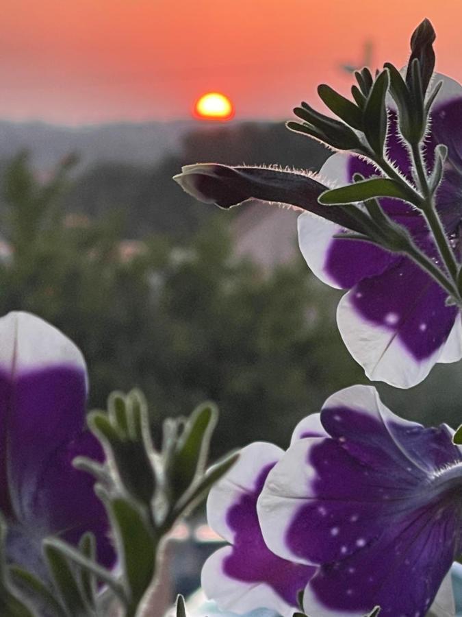 Villa Natalija Medulin Bagian luar foto